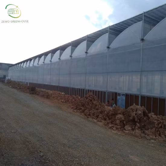 575W de alta eficiência Tier 1 Topcon meia célula 16bb Painel de módulo solar fotovoltaico monocristalino com células de 182 mm